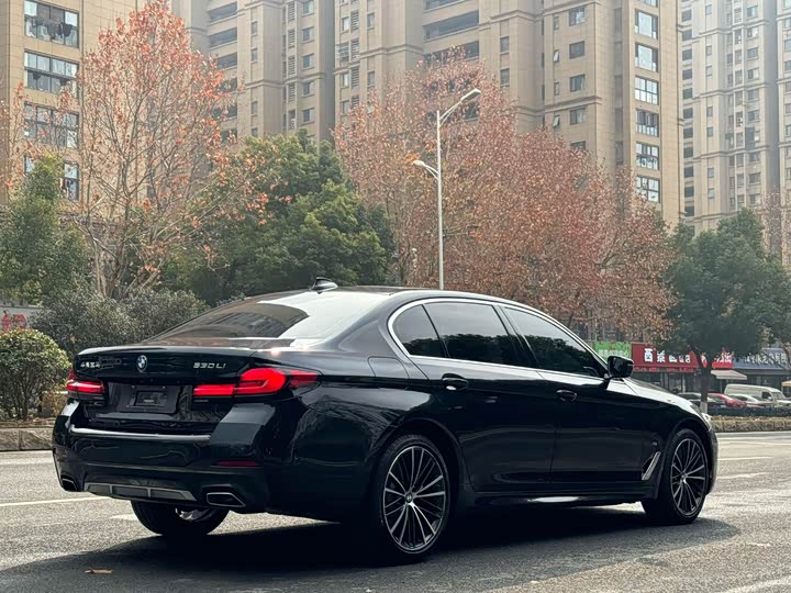BMW 5-Series 2023 530 Li Leading M — фото 4