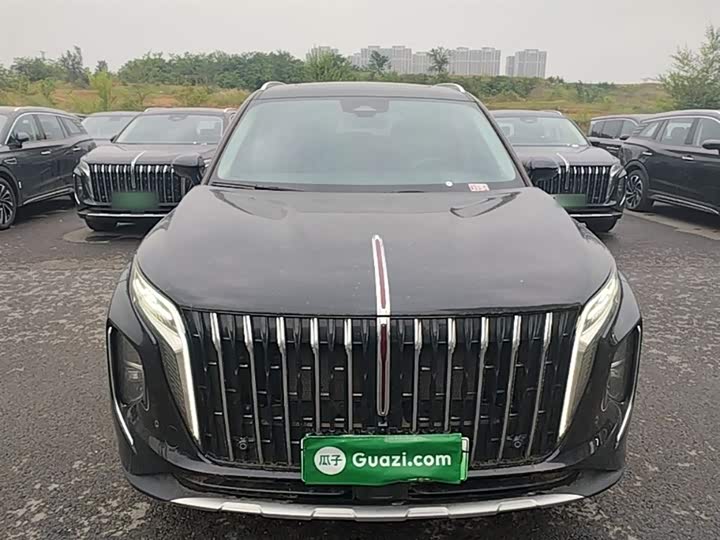 Hongqi HS7 PHEV 2024 2.0 T PHEV 4 WD 7 — фото 3