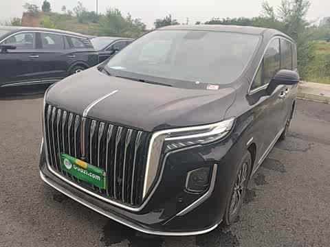 Hongqi HQ9 PHEV 2024 2.0 T 4 WD — фото 26