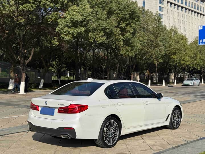 BMW 5-Series 2019 530 Li Leading M — фото 13