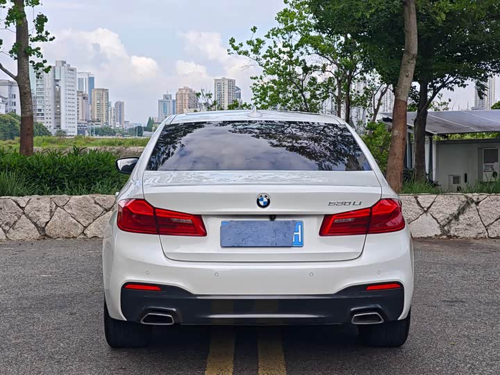 BMW 5-Series 2019 530 Li Leading M — фото 14