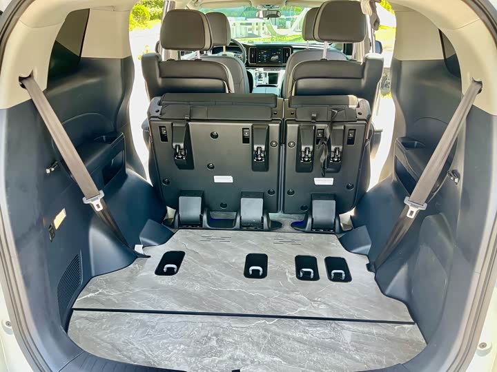 Trumpchi M8 2024 390 T — фото 23