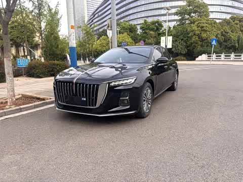 Hongqi H5 2023 1.5 T DCT — фото 10