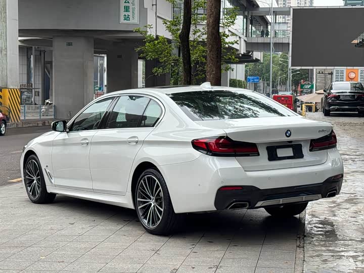 BMW 5-Series 2021 530 Li x Drive M — фото 18