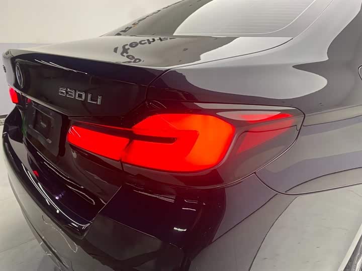 BMW 5-Series 2021 530 Li Leading M — фото 10
