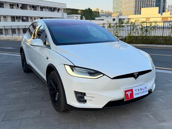 Tesla Model X 2019 — фото 3