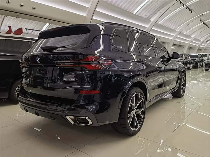 BMW X5 2023 x Drive 30 Li M — фото 4