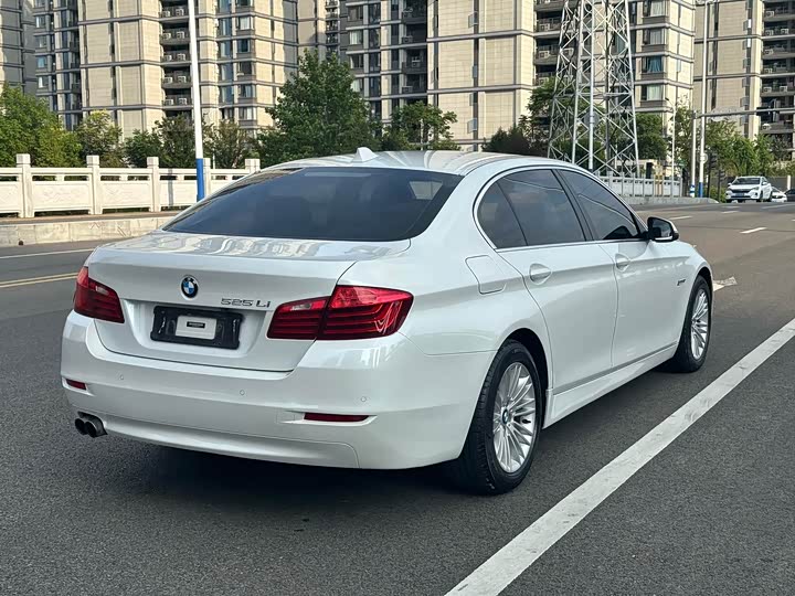 BMW 5-Series 2014 525 Li Leading — фото 6