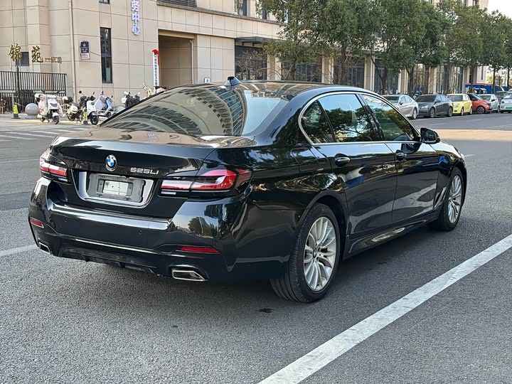 BMW 5-Series 2014 525 Li — фото 15