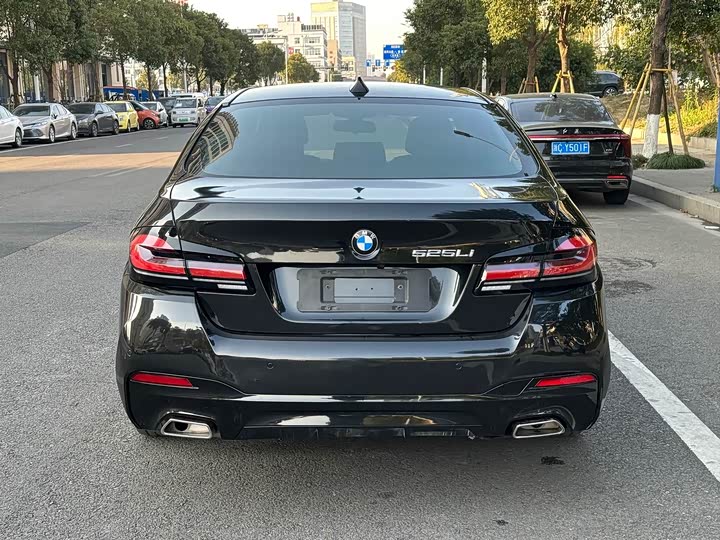 BMW 5-Series 2014 525 Li — фото 16