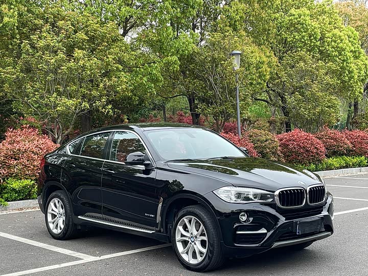 BMW X6 2017 x Drive 35i Leading — фото 3