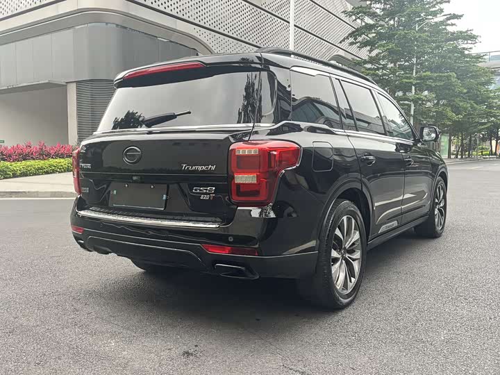 Trumpchi GS8 2017 320 T 2 WD ( ) — фото 3