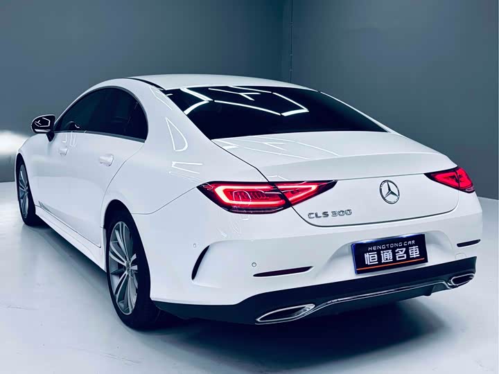 Mercedes-Benz CLS 2020 CLS 300 — фото 3