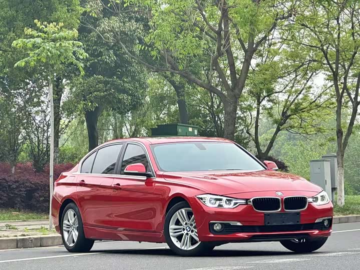 BMW 3-Series 2017 320 Li — фото 3
