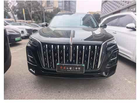 Hongqi HS5 2023 2.0 T 4 WD Pro — фото 12