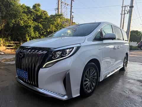 Trumpchi M8 2021 390 T — фото 14