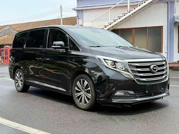Trumpchi M8 2018 320 T — фото 3