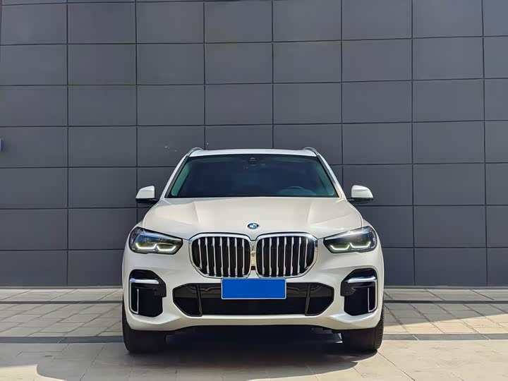 BMW X5 2022 x Drive 30 Li M — фото 2