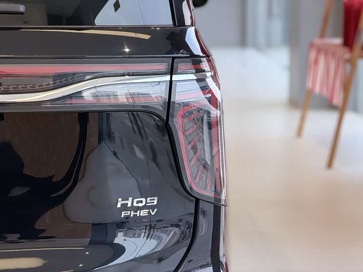 Hongqi HQ9 PHEV 2024 2.0 T 4 WD — фото 11