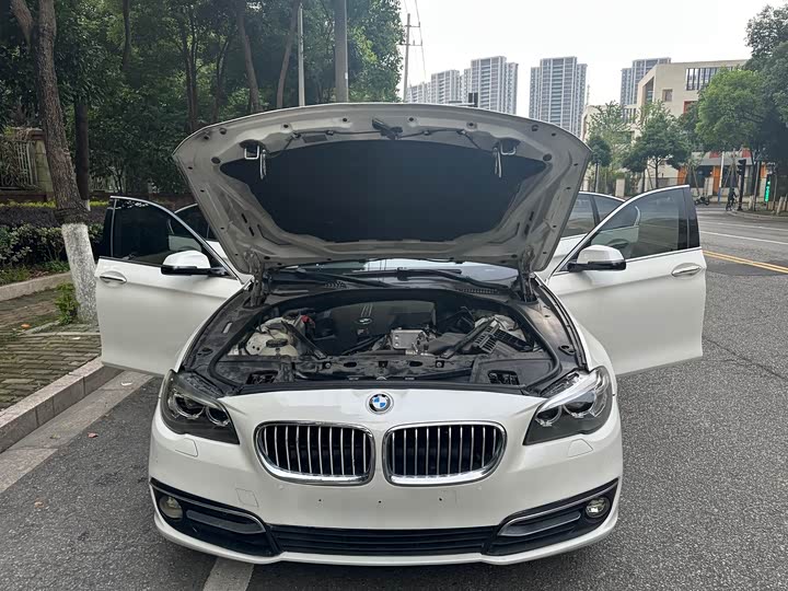 BMW 5 Series 525Li — фото 13