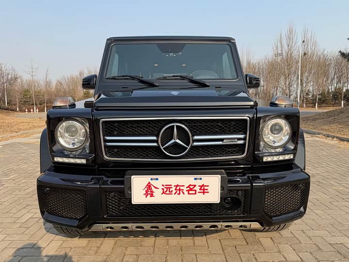 Mercedes-Benz G-Class 2016 AMG G 63 Edition 463 — фото 4