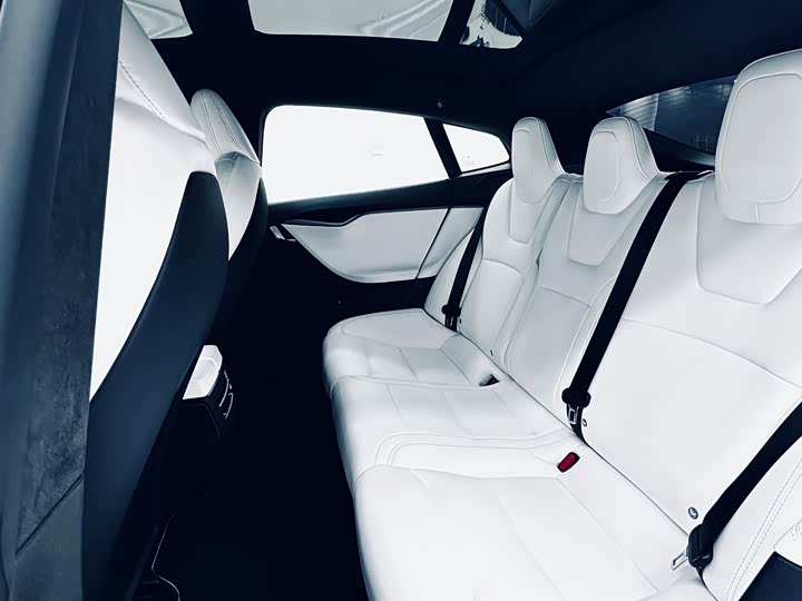 Tesla Model 2020 Performance — фото 12
