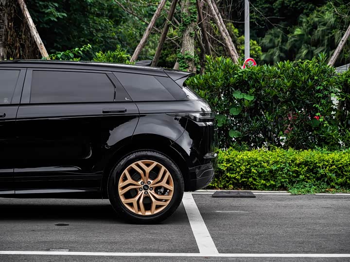 Land Rover Range Rover Evoque — фото 19