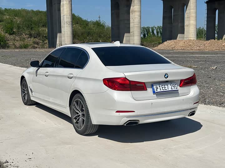 BMW 5-Series 2020 530 Li x Drive — фото 7