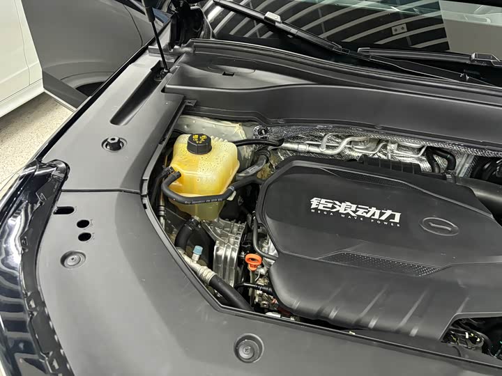 Trumpchi GS8 2022 2.0 TGDI 2 WD ( ) — фото 16