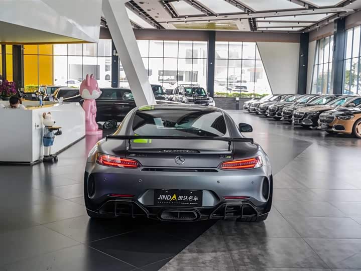 Mercedes-Benz AMG 2019 AMG GT R PRO — фото 22