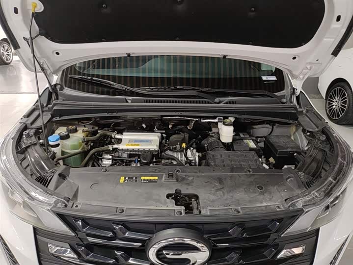 Trumpchi M6 2023 PRO 270 T DCT — фото 20