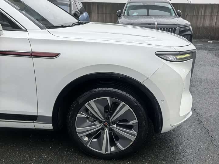 Hongqi E-HS 2021 460km — фото 18