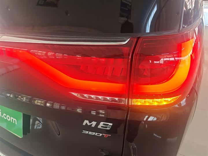 Trumpchi M8 2021 390 T — фото 8