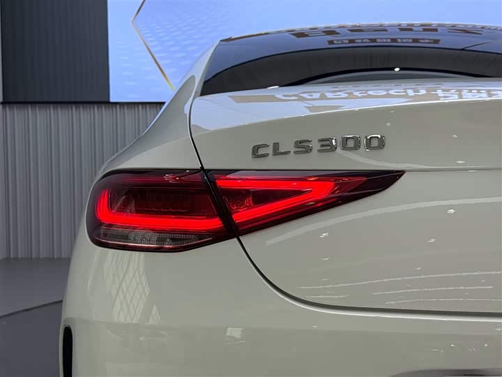 Mercedes-Benz CLS 2023 CLS 300 Luxury — фото 7