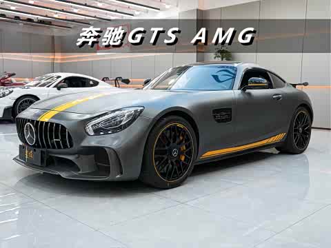Mercedes-Benz AMG 2017 AMG GT S — фото 24