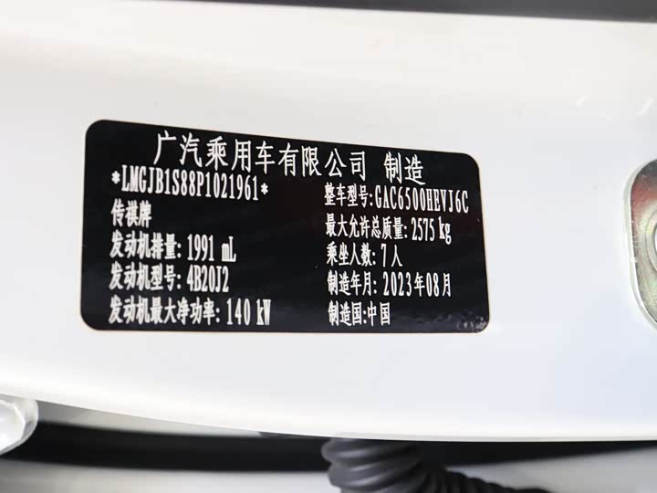 Trumpchi GS8 2024 2.0 TM 2 WD — фото 19
