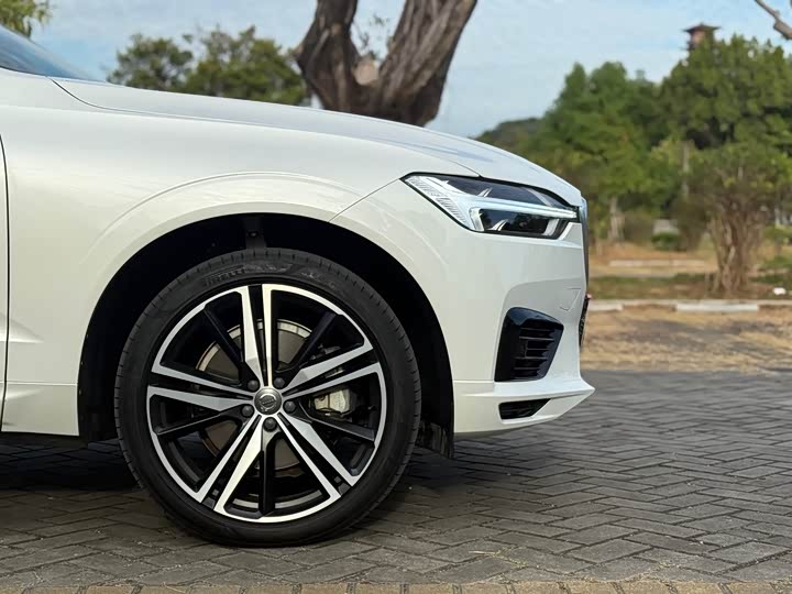 Volvo XC60 Hybrid 2020 T 8 E Hybrid — фото 8