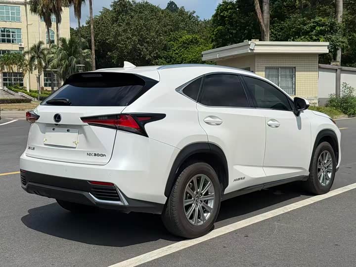 Lexus NX 2020 300h V — фото 10