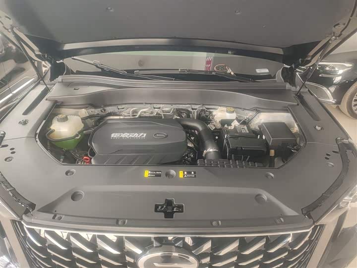 Trumpchi GS8 2024 2.0 TGDI 2 WD 7 — фото 20