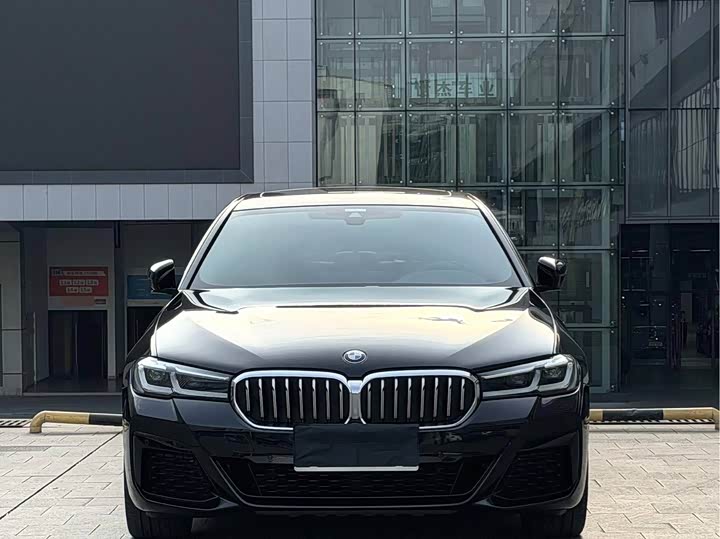 BMW 5-Series 2022 530 Li Leading M — фото 2