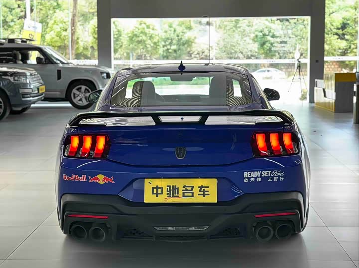 Ford Mustang 2024 5.0 L V 8 Dark Horse — фото 6