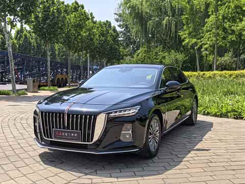 Hongqi H5 2024 1.5 T DCT — фото 31