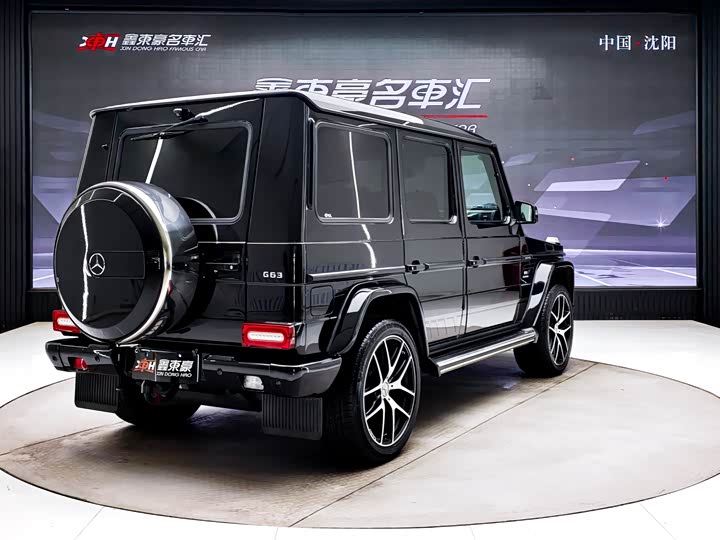 Mercedes-Benz G-Class 2016 AMG G 63 Edition 463 — фото 6