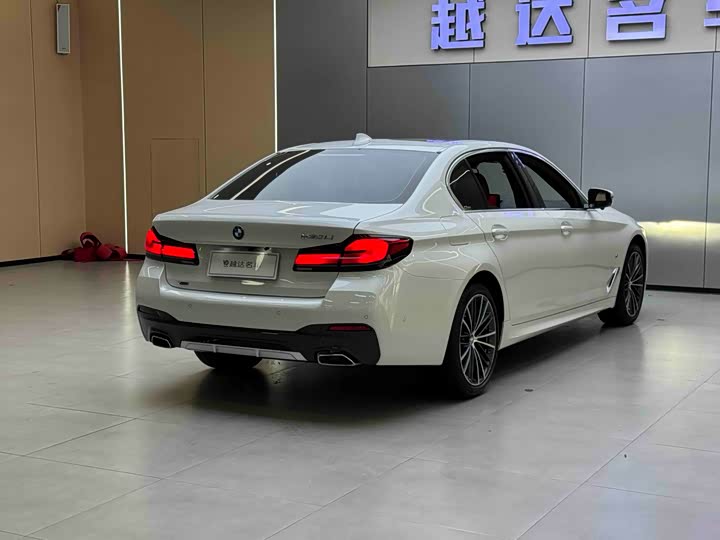 BMW 5-Series 2023 530 Li x Drive M — фото 22