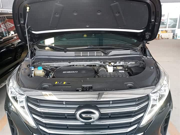 Trumpchi M8 2023 390 T — фото 10
