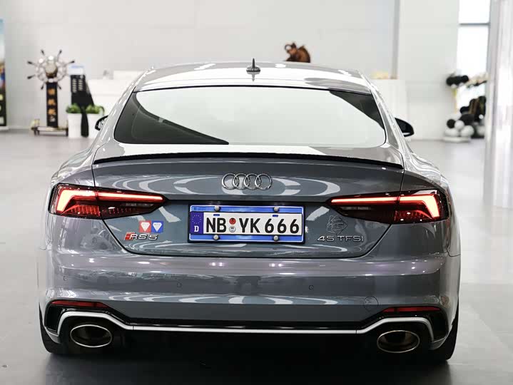 Audi RS5 2019 RS 5 2.9 T Sportback — фото 10