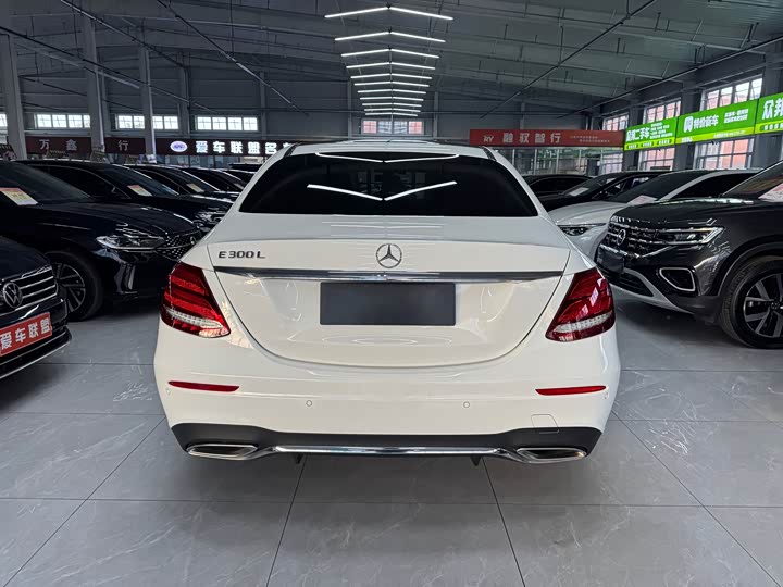 Mercedes-Benz E-Class 2019 E 300 L — фото 5