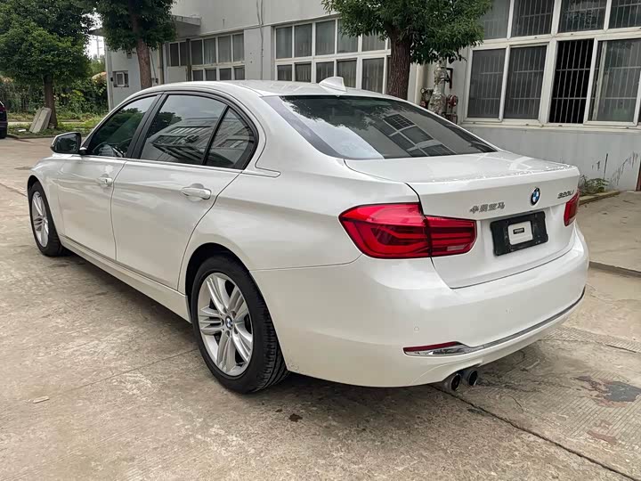 BMW 3 Series 320Li стиль — фото 6