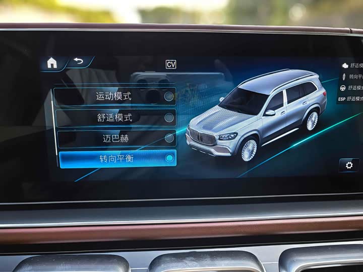 Maybach GLS 2021 GLS 600 4 MATIC — фото 14