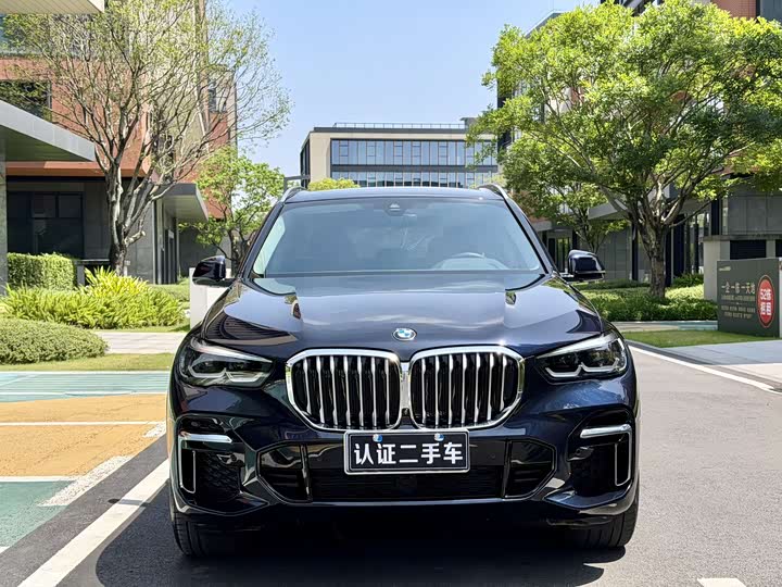 BMW X5 2022 x Drive 30 Li M — фото 2